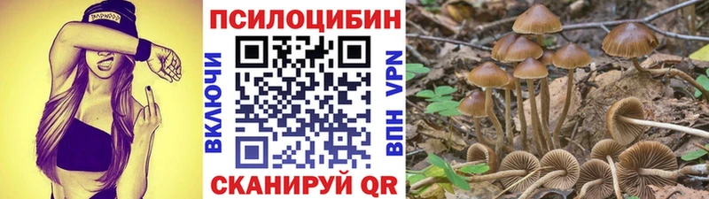 продажа наркотиков  Мещовск  Галлюциногенные грибы прущие грибы 